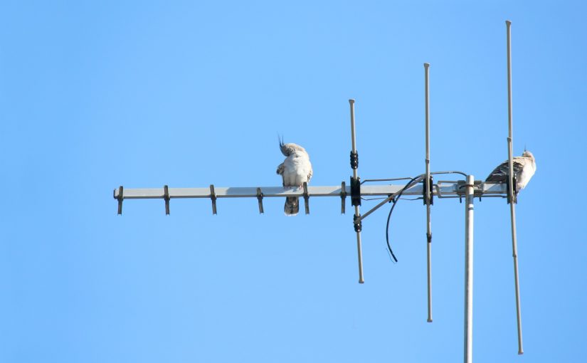 How Can I Fix Reception Issues With My High Definition TV?